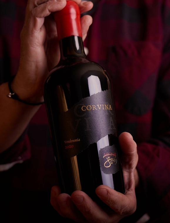 corvina